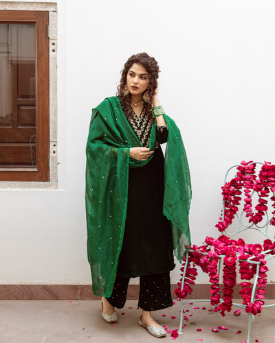 Roya Panna - Velvet Embroidered Suit Set