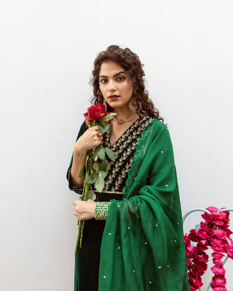 Roya Panna - Velvet Embroidered Suit Set by Maison Shefali in green color for women Worldwide