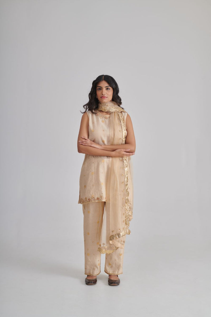NAAR DUPATTA organza by Rashika Mittal in gold color for women Worldwide