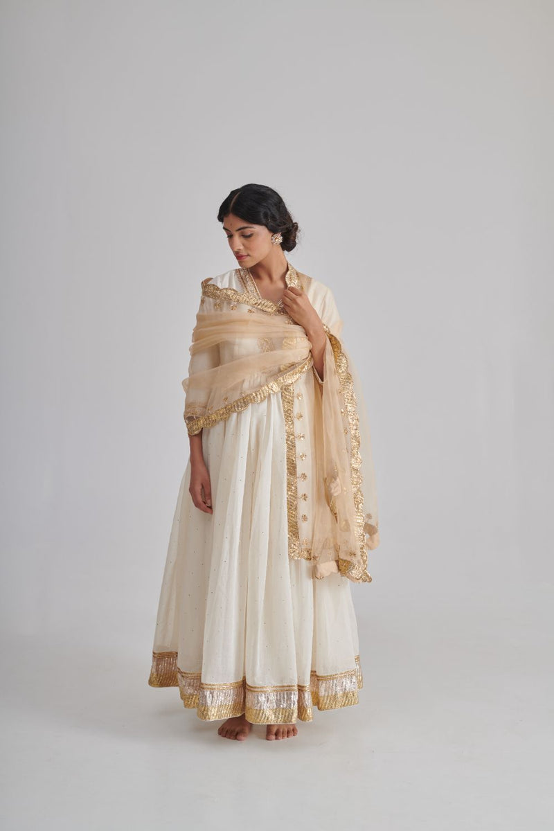 NAAR DUPATTA organza by Rashika Mittal in gold color for women Worldwide