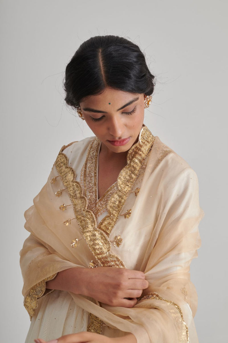 NAAR DUPATTA organza by Rashika Mittal in gold color for women Worldwide