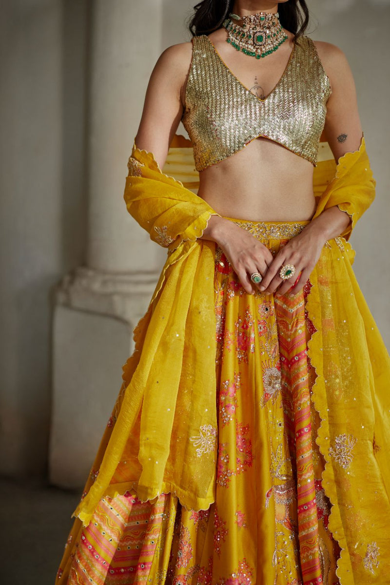 PH-2892 Naru Lehenga Set mul by Paulmi & Harsh in multi color for women Worldwide