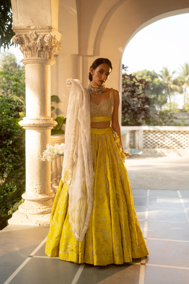 PH-3066 Lehenga Blouse Set-Lime Yellow by Paulmi & Harsh in yellow color for women Worldwide