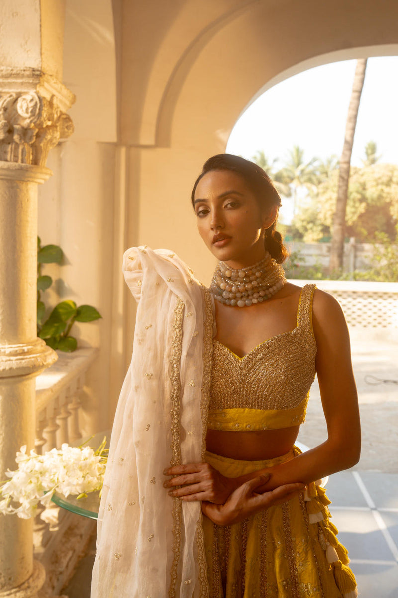 PH-3066 Lehenga Blouse Set-Lime Yellow by Paulmi & Harsh in yellow color for women Worldwide