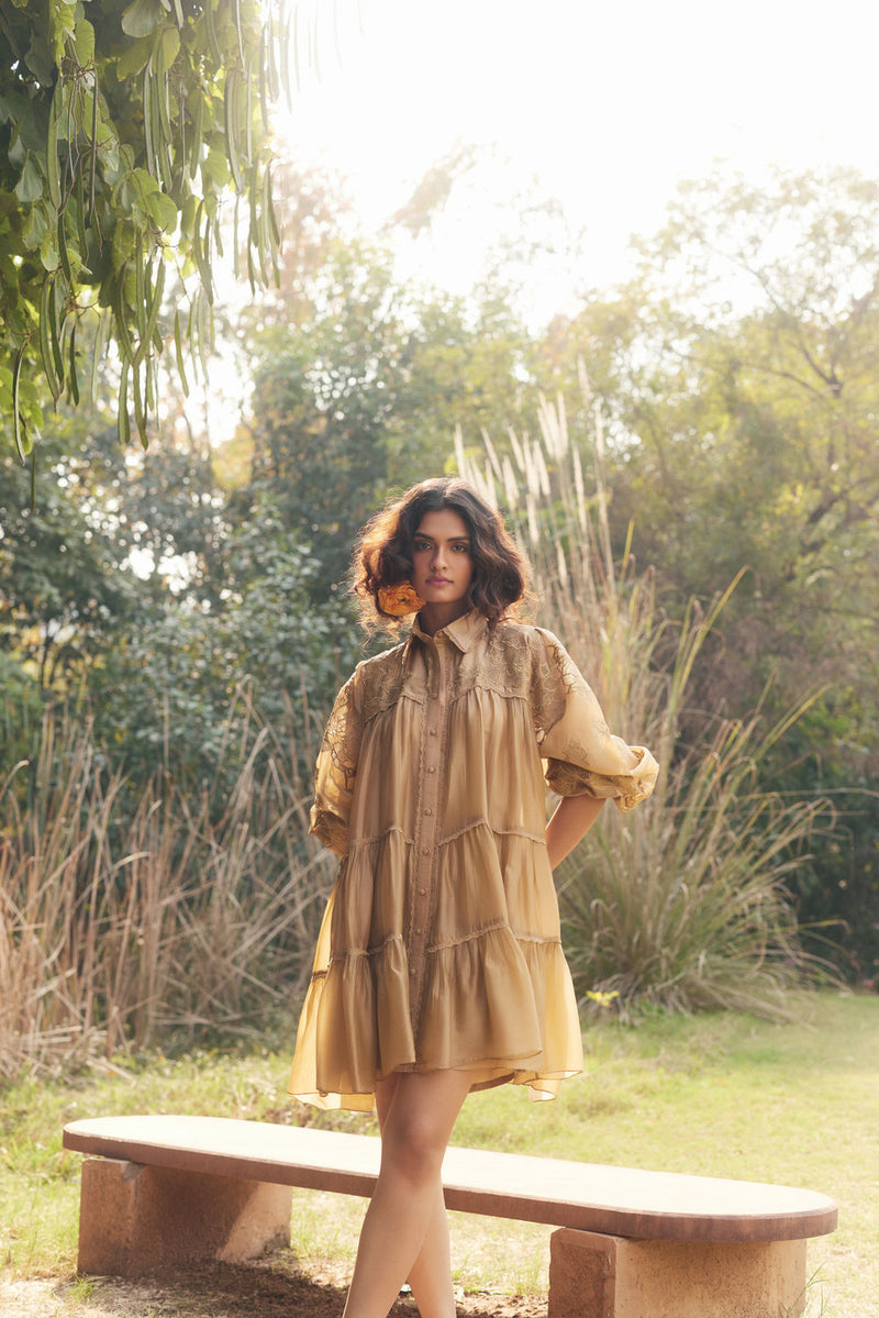 Lana Dress-Beige chanderi by Paulmi & Harsh in beige for women Worldwide
