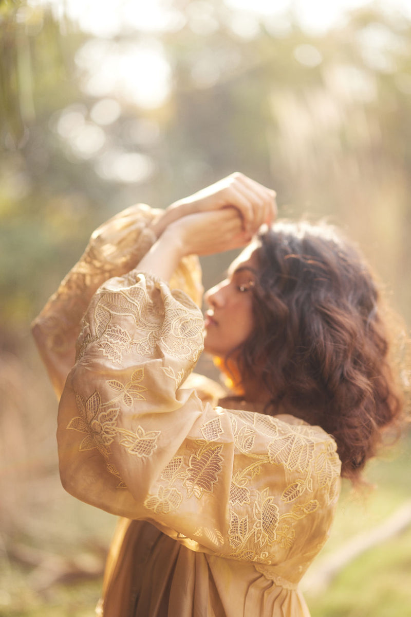 Lana Dress-Beige chanderi by Paulmi & Harsh in beige for women Worldwide