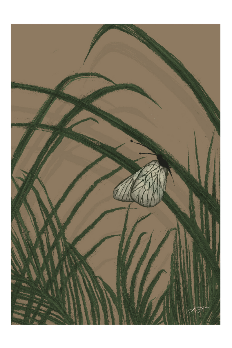 Palm Leaves and the Butterfly