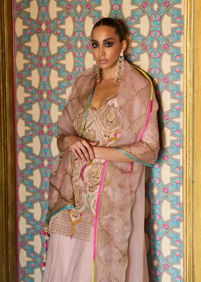 Retro Raani Champagne Pink Sharara Set silk, silk organza kurta/kurta set by Rajiramniq in pink for women Worldwide