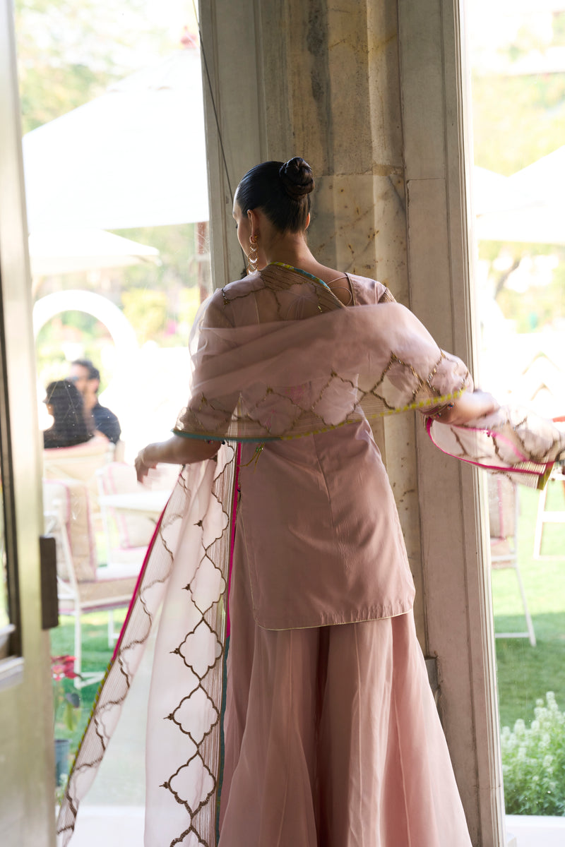Retro Raani Champagne Pink Sharara Set silk, silk organza kurta/kurta set by Rajiramniq in pink for women Worldwide