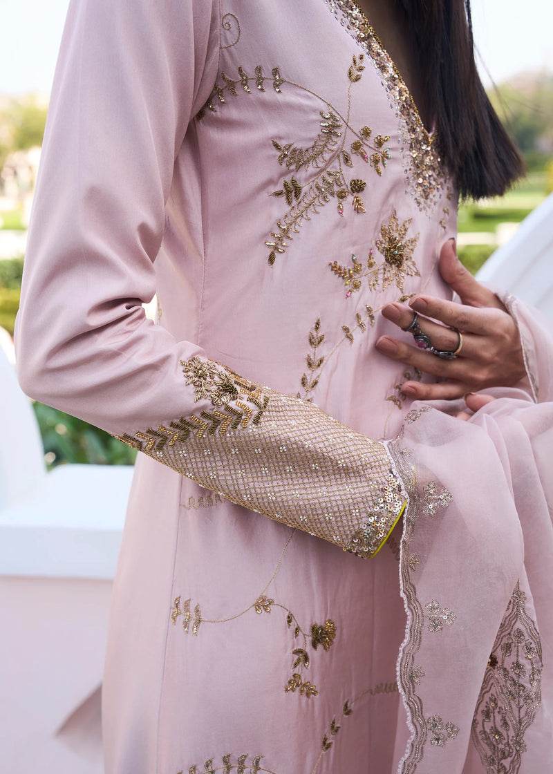 Retro Raani Champagne Pink Jaal Kurta Set silk, silk organza kurta/kurta set by Rajiramniq in pink for women Worldwide
