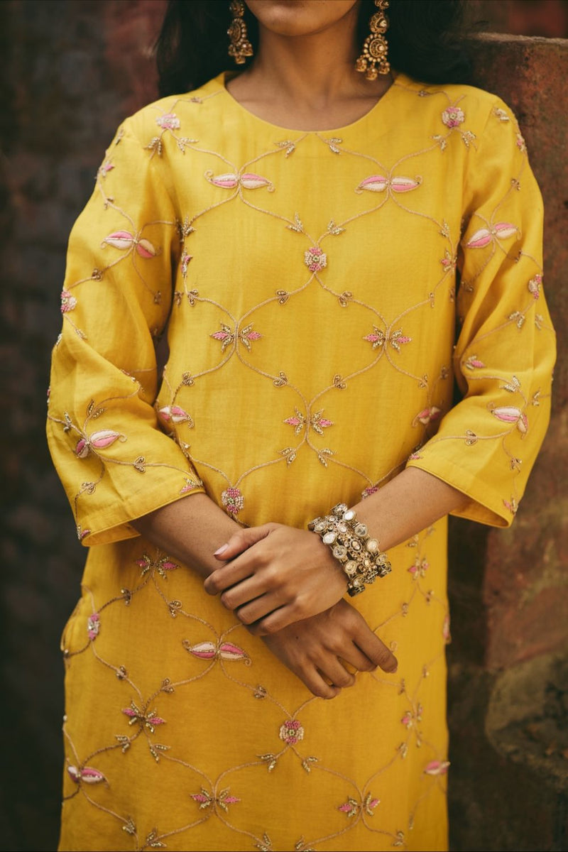 ROSHNI & NAZREEN KURTA & SHARARA chanderi by Rashika Mittal in multi color for women Worldwide