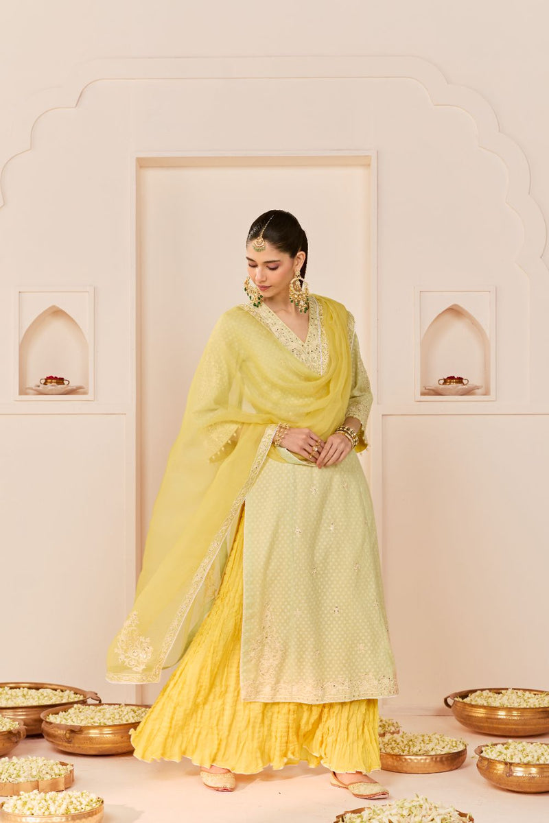 RUHANI - MINT GREEN LONG KURTA WITH SKIRT AND DUPATTA chanderi silk kurta/kurta set by SHEETAL BATRA in mint green with lemon yellow for women Worldwide