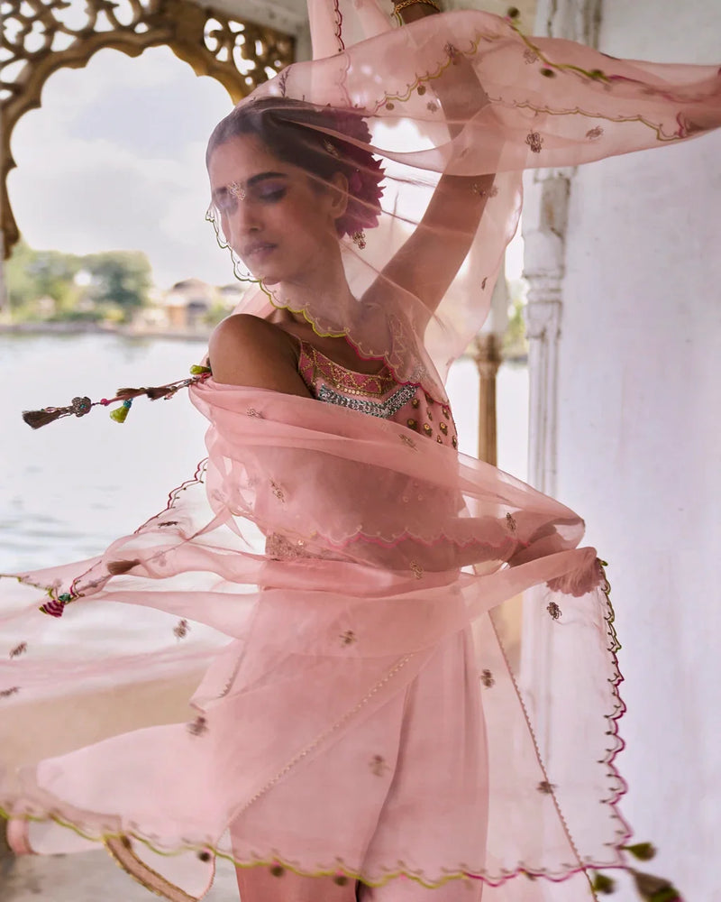 GUL NUDE PINK ORGANZA KURTA SET organza by Rajiramniq for women Worldwide