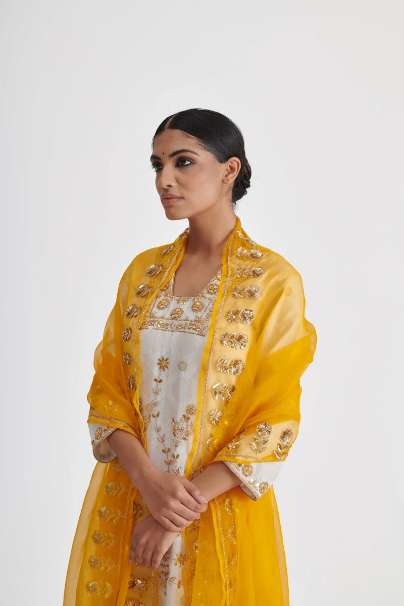 AAVYA DUPATTA organza by Rashika Mittal in yellow color for women Worldwide