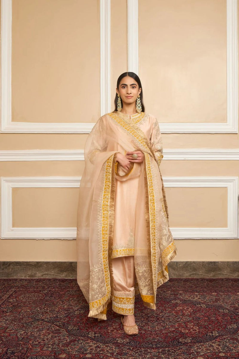 Resham Straight kurta with salwar and dupatta-Rosepink silk by SHEETAL BATRA in pink color for women Worldwide