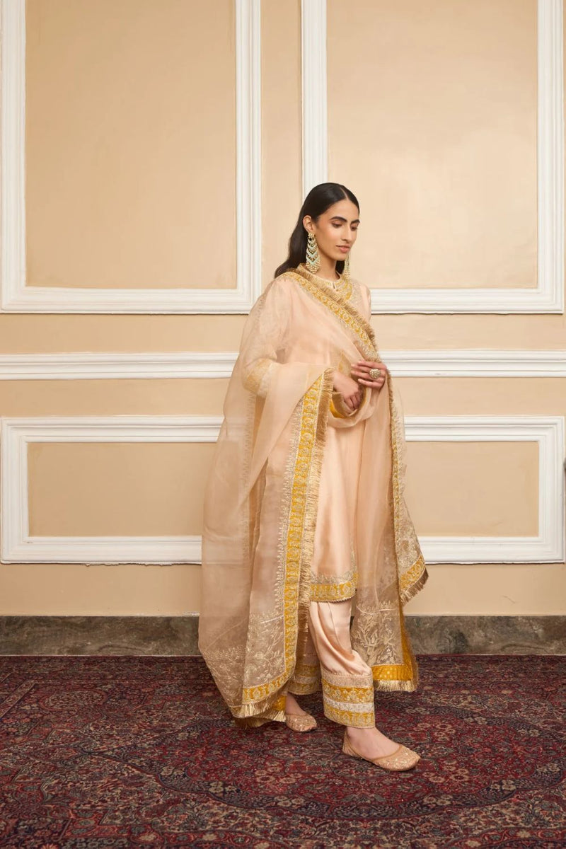 Resham Straight kurta with salwar and dupatta-Rosepink silk by SHEETAL BATRA in pink color for women Worldwide
