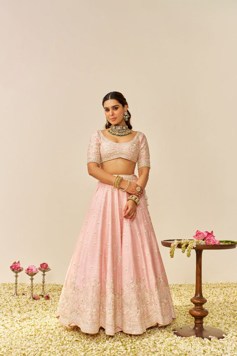 Fida - Lehenga With Blouse And Dupatta-Blush Pink silk by SHEETAL BATRA in blush color for women Worldwide