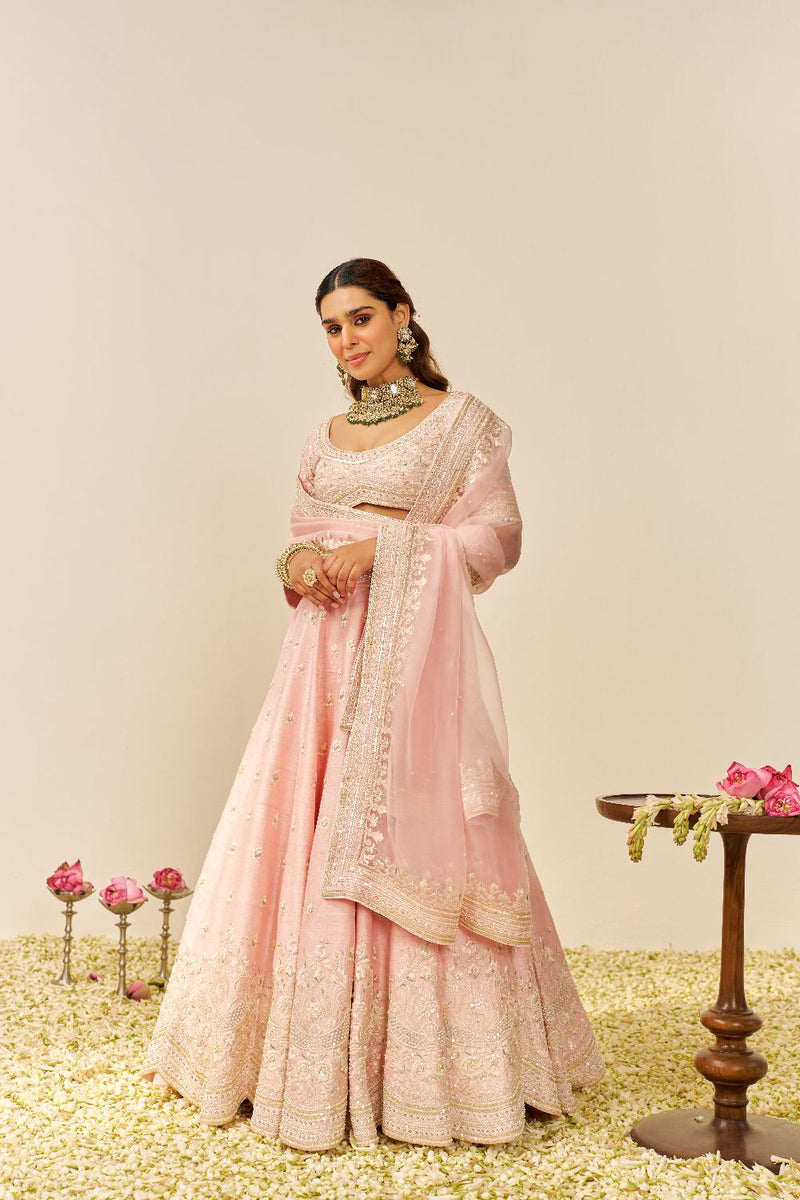 Fida - Lehenga With Blouse And Dupatta-Blush Pink silk by SHEETAL BATRA in blush color for women Worldwide