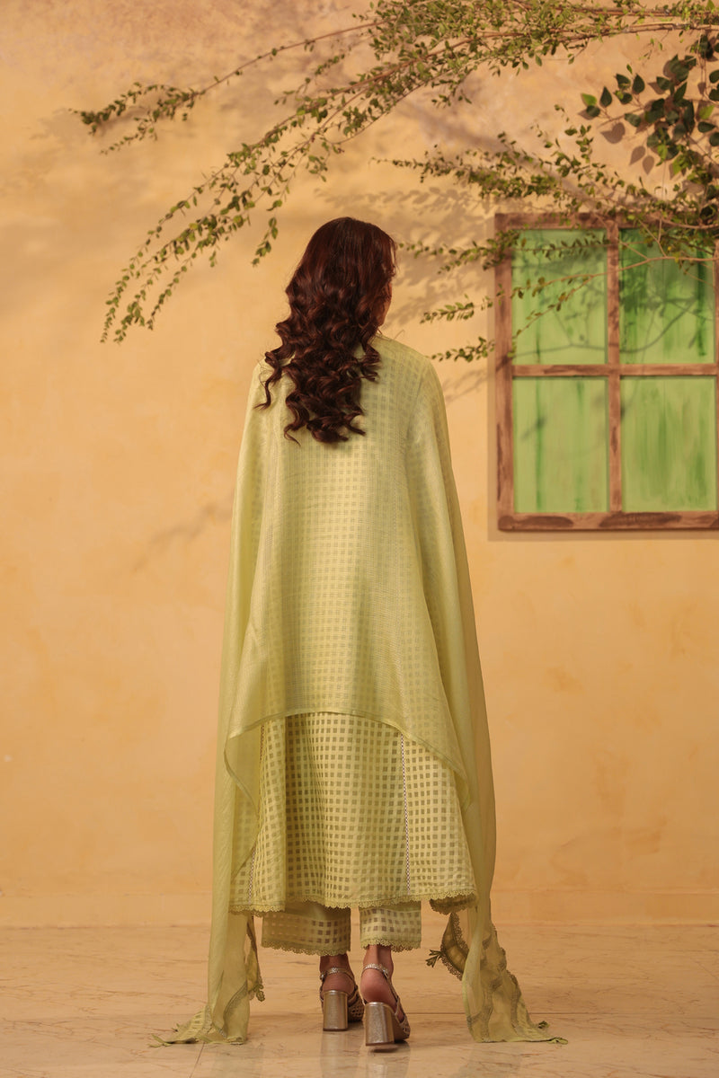 Vaayu Green Panelled Kalidar Set silk chanderi , silk tencel kurta/kurta set by Niti Bothra in green for women Worldwide