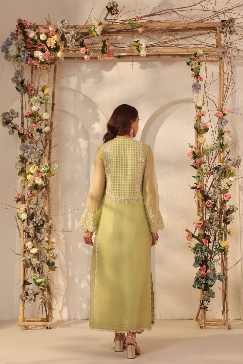 Vaayu Green Heavy Jaal Kurta Set organza , silk tencel kurta/kurta set by Niti Bothra in green for women Worldwide