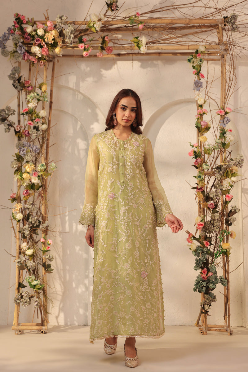 Vaayu Green Heavy Jaal Kurta Set organza , silk tencel kurta/kurta set by Niti Bothra in green for women Worldwide