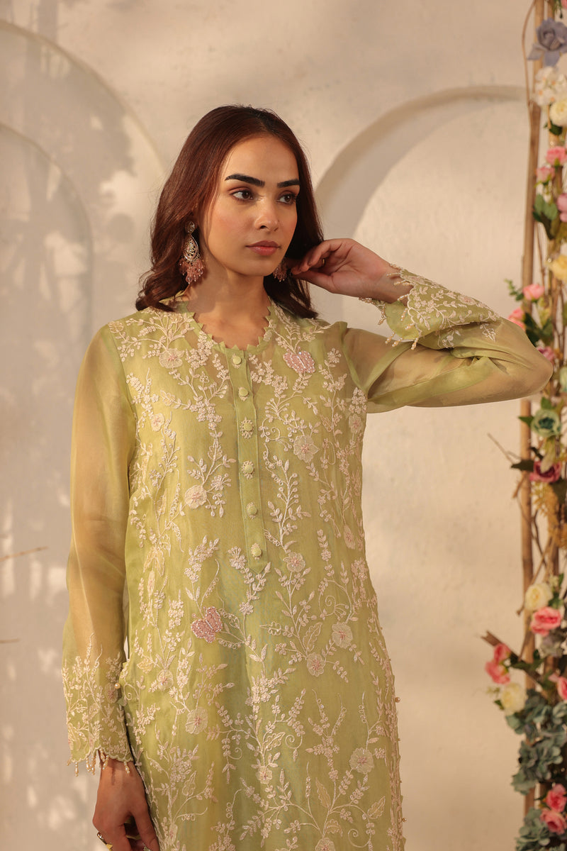 Vaayu Green Heavy Jaal Kurta Set organza , silk tencel kurta/kurta set by Niti Bothra in green for women Worldwide