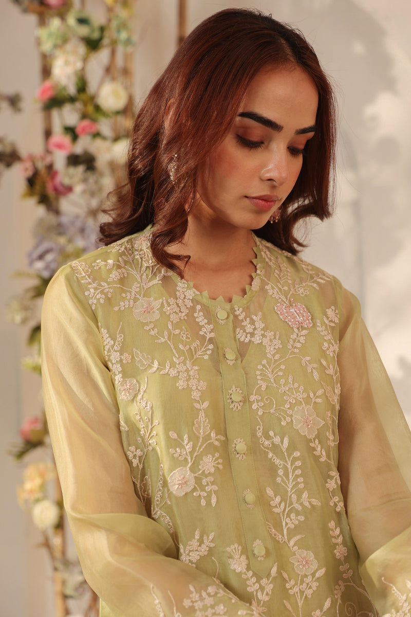 Vaayu Green Heavy Jaal Kurta Set organza , silk tencel kurta/kurta set by Niti Bothra in green for women Worldwide