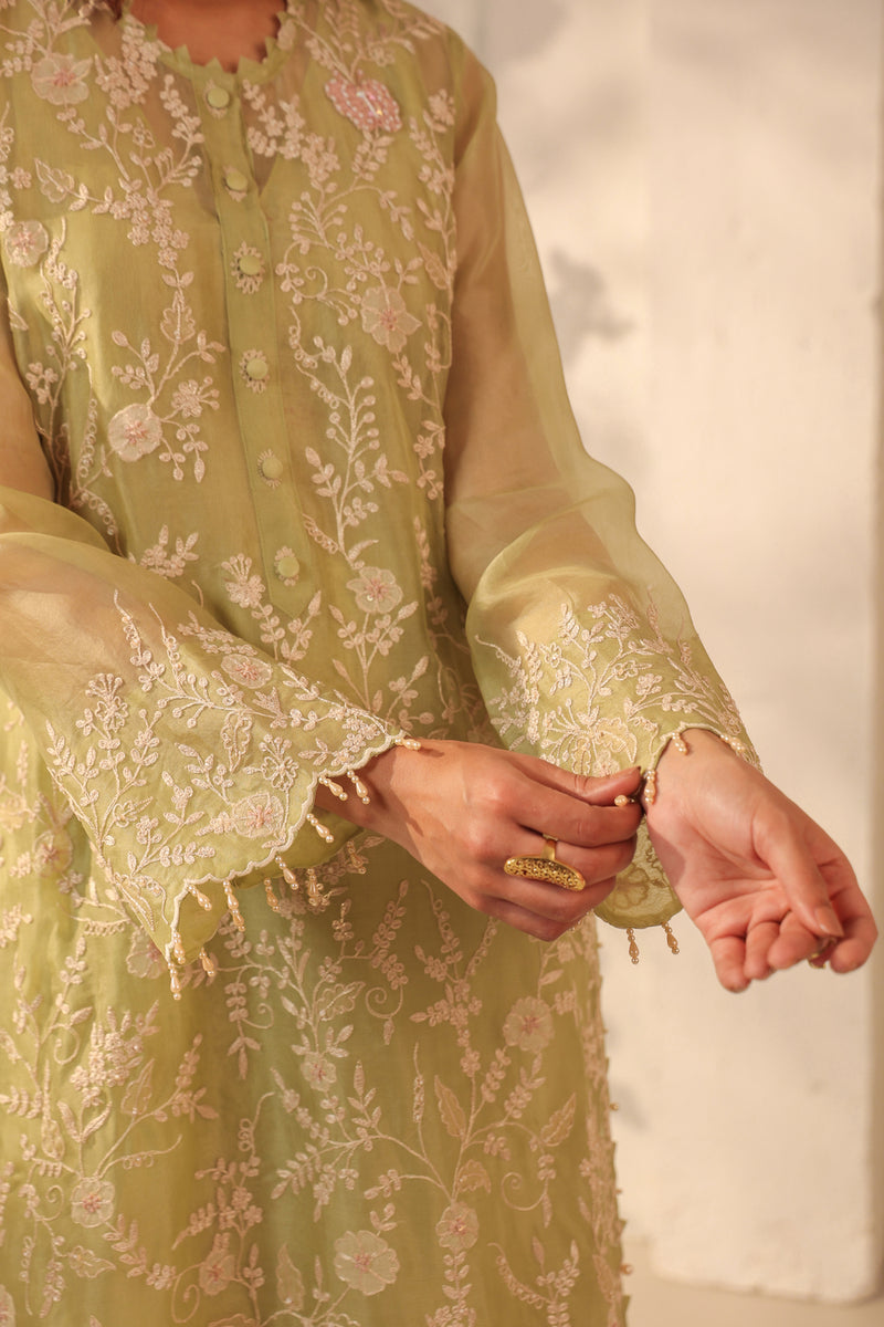 Vaayu Green Heavy Jaal Kurta Set organza , silk tencel kurta/kurta set by Niti Bothra in green for women Worldwide