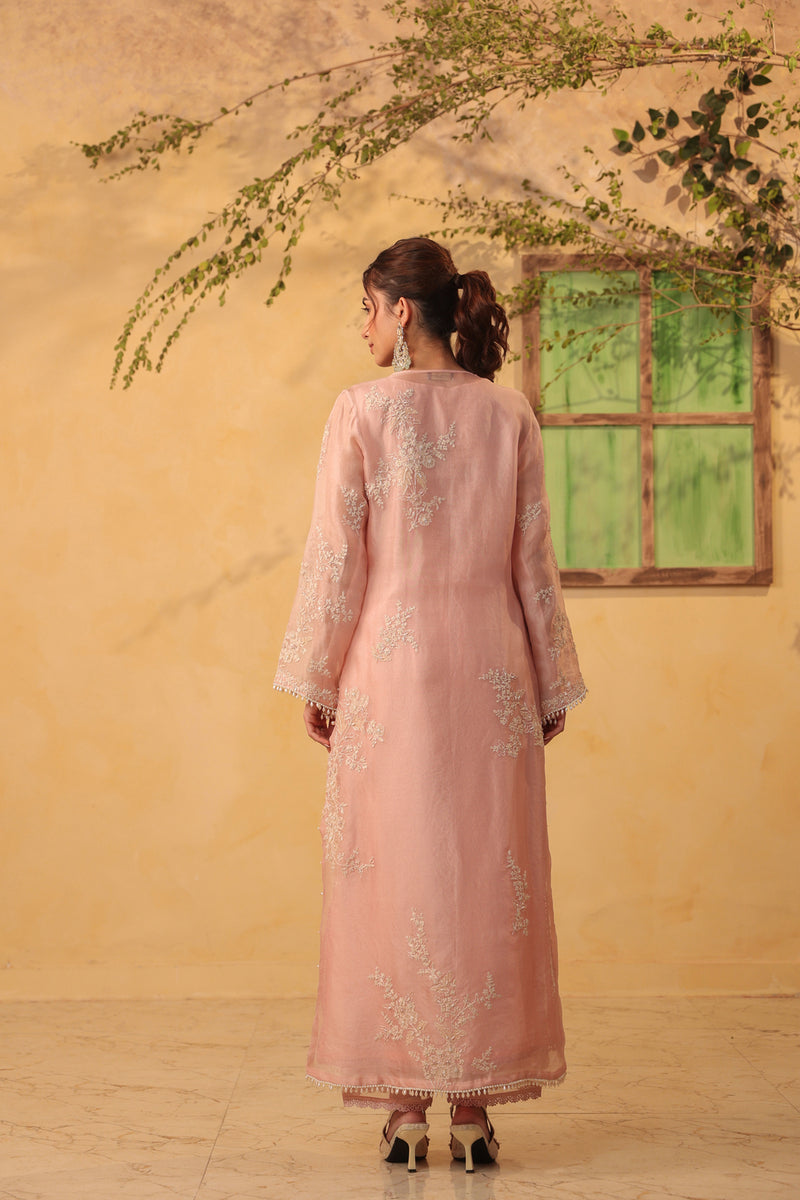 Vaayu Light Pink jaal straight kurta Set organza , silk tencel kurta/kurta set by Niti Bothra in light pink for women Worldwide