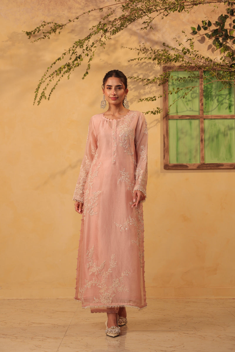 Vaayu Light Pink jaal straight kurta Set organza , silk tencel kurta/kurta set by Niti Bothra in light pink for women Worldwide