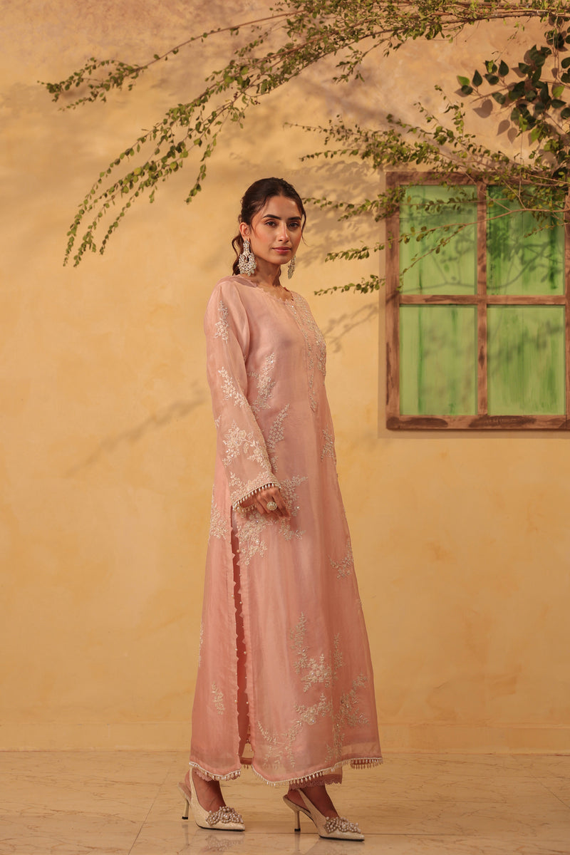 Vaayu Light Pink jaal straight kurta Set organza , silk tencel kurta/kurta set by Niti Bothra in light pink for women Worldwide