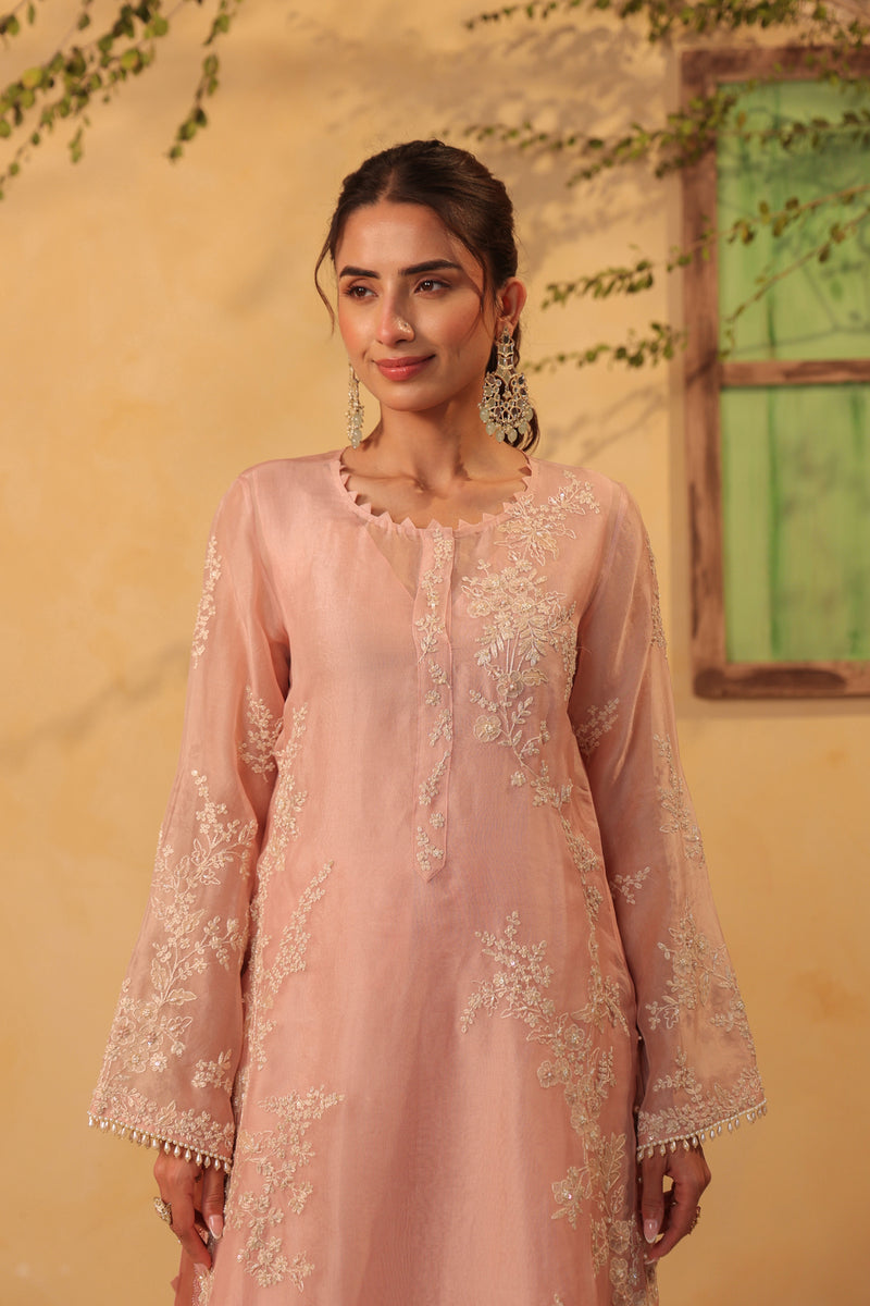 Vaayu Light Pink jaal straight kurta Set organza , silk tencel kurta/kurta set by Niti Bothra in light pink for women Worldwide