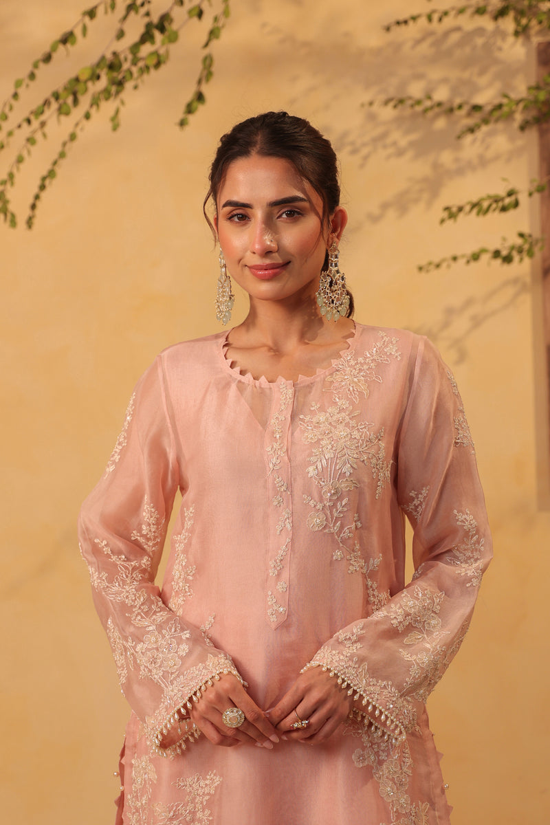 Vaayu Light Pink jaal straight kurta Set organza , silk tencel kurta/kurta set by Niti Bothra in light pink for women Worldwide