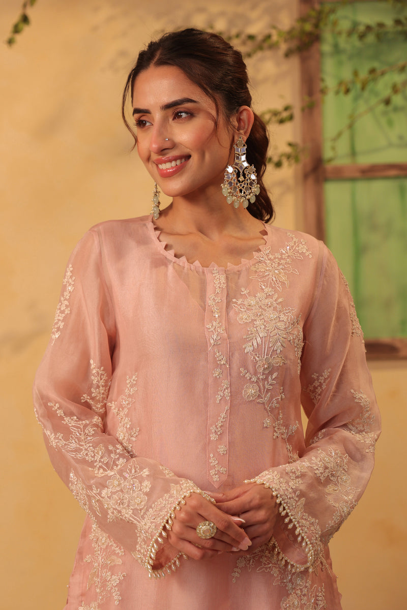 Vaayu Light Pink jaal straight kurta Set organza , silk tencel kurta/kurta set by Niti Bothra in light pink for women Worldwide