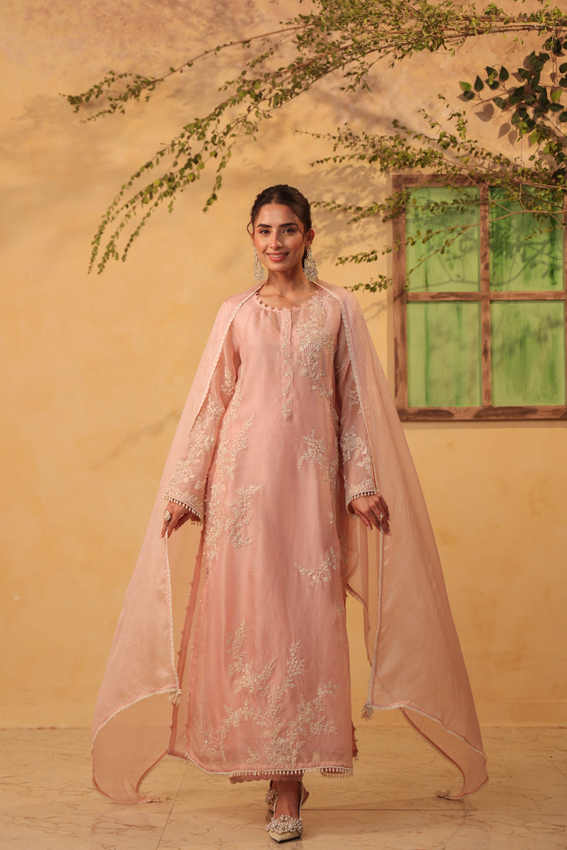 Vaayu Light Pink jaal straight kurta Set organza , silk tencel kurta/kurta set by Niti Bothra in light pink for women Worldwide