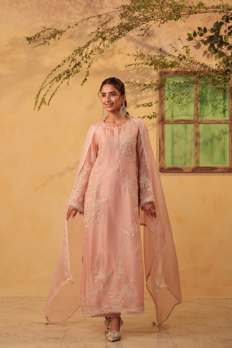 Vaayu Light Pink jaal straight kurta Set organza , silk tencel kurta/kurta set by Niti Bothra in light pink for women Worldwide
