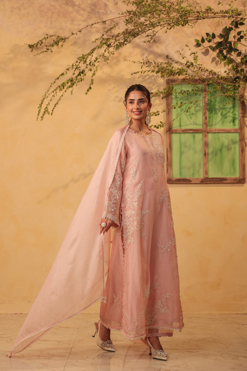 Vaayu Light Pink jaal straight kurta Set organza , silk tencel kurta/kurta set by Niti Bothra in light pink for women Worldwide