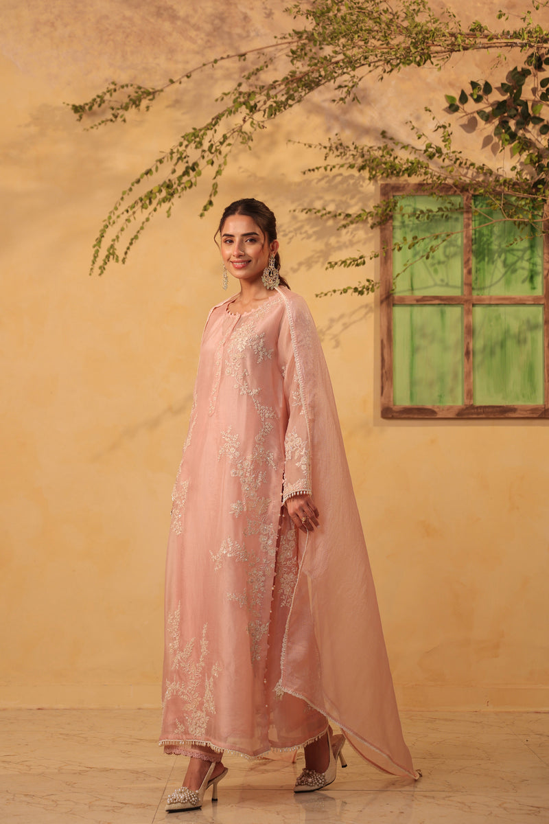 Vaayu Light Pink jaal straight kurta Set organza , silk tencel kurta/kurta set by Niti Bothra in light pink for women Worldwide