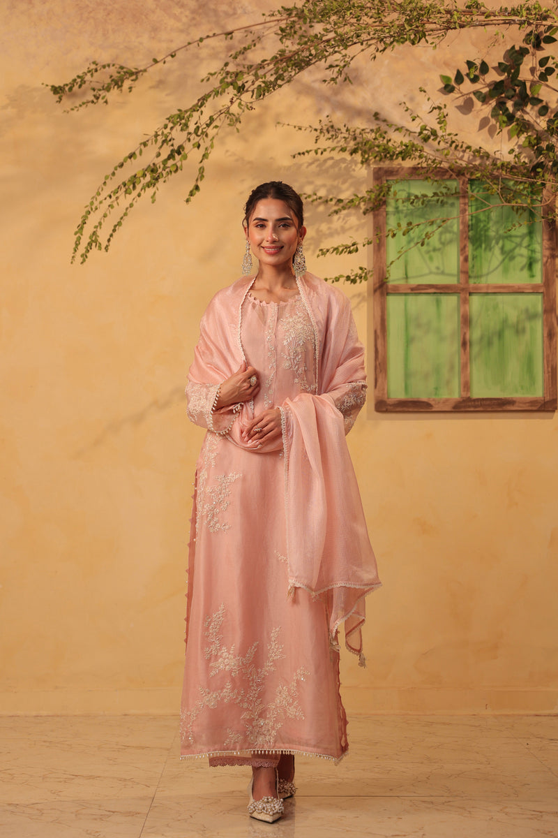 Vaayu Light Pink jaal straight kurta Set organza , silk tencel kurta/kurta set by Niti Bothra in light pink for women Worldwide