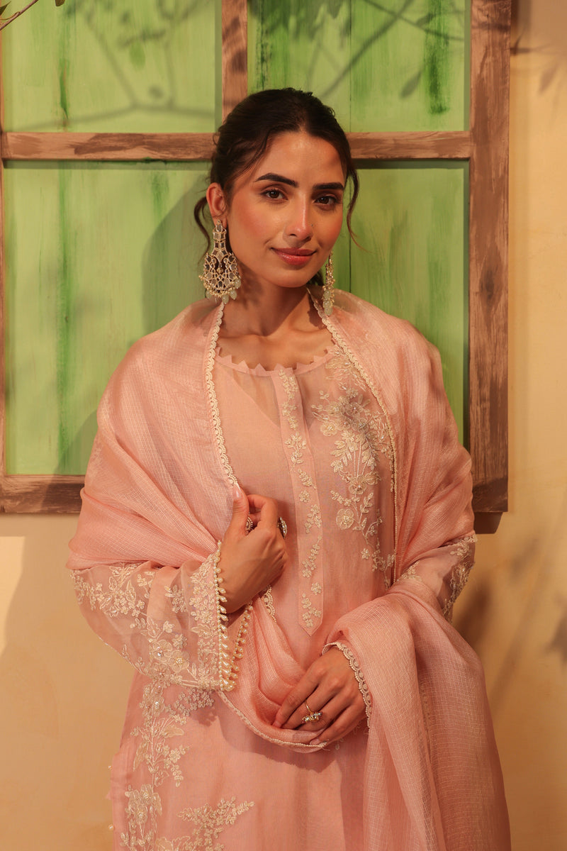 Vaayu Light Pink jaal straight kurta Set organza , silk tencel kurta/kurta set by Niti Bothra in light pink for women Worldwide