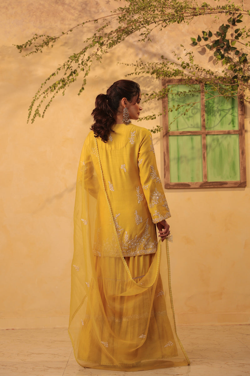 Vaayu Yellow Heavy Sharara Set silk chanderi kurta/kurta set by Niti Bothra in yellow for women Worldwide