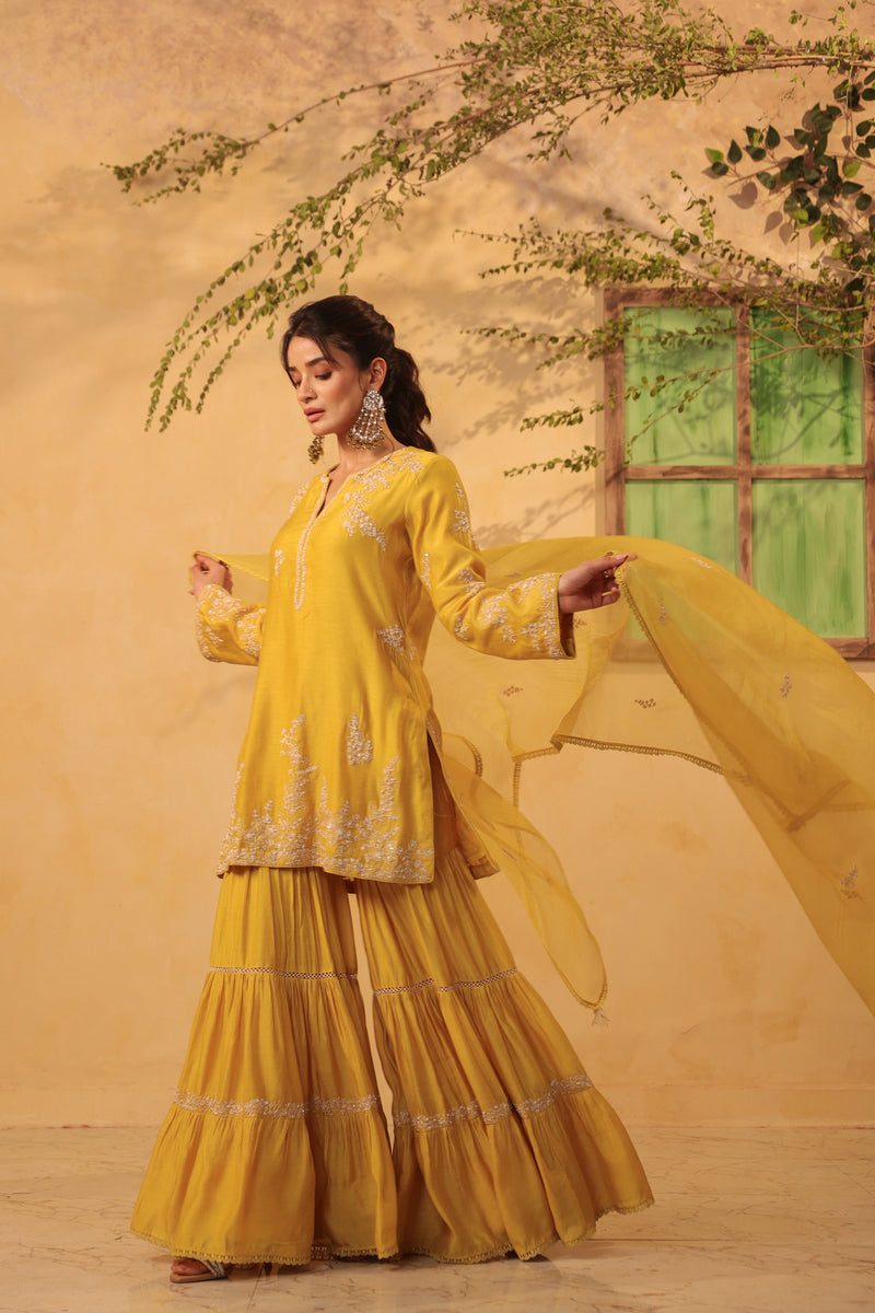 Vaayu Yellow Heavy Sharara Set silk chanderi kurta/kurta set by Niti Bothra in yellow for women Worldwide