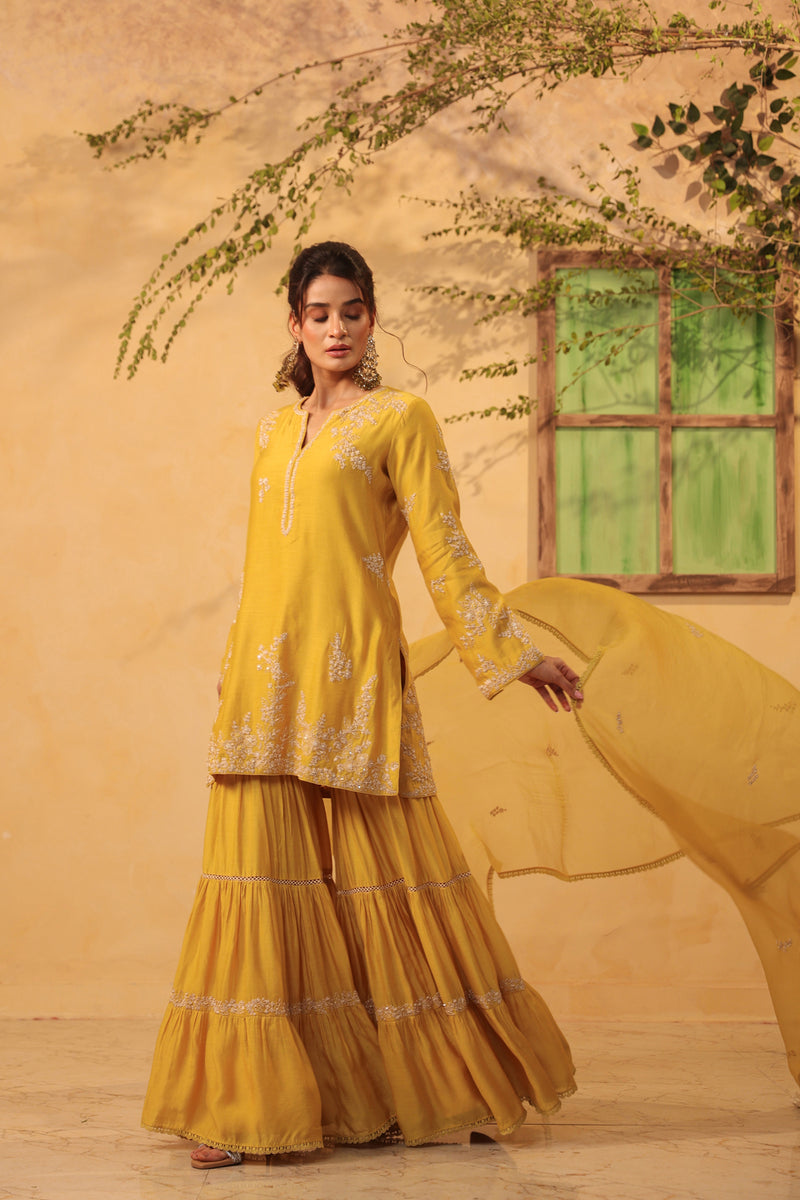 Vaayu Yellow Heavy Sharara Set silk chanderi kurta/kurta set by Niti Bothra in yellow for women Worldwide