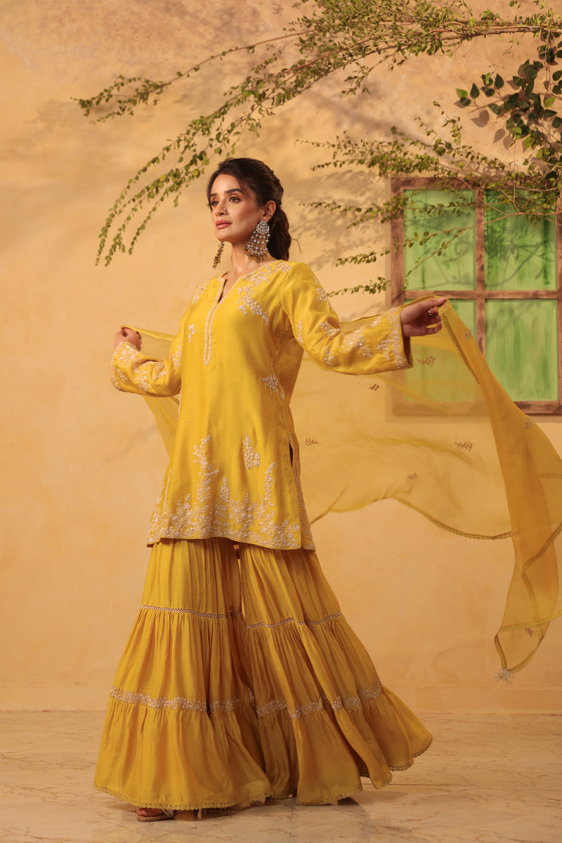 Vaayu Yellow Heavy Sharara Set silk chanderi kurta/kurta set by Niti Bothra in yellow for women Worldwide