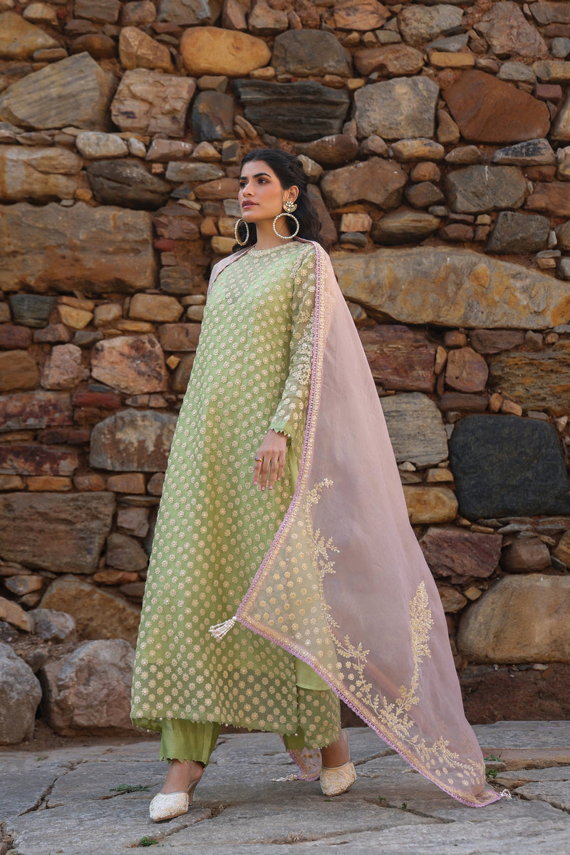 Vaayu Green Close Neck Kurta Set organza , silk tencel kurta/kurta set by Niti Bothra in green for women Worldwide