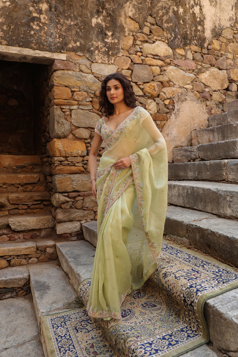 Vaayu Green Multicolor Border Saree Set organza saree by Niti Bothra in green for women Worldwide