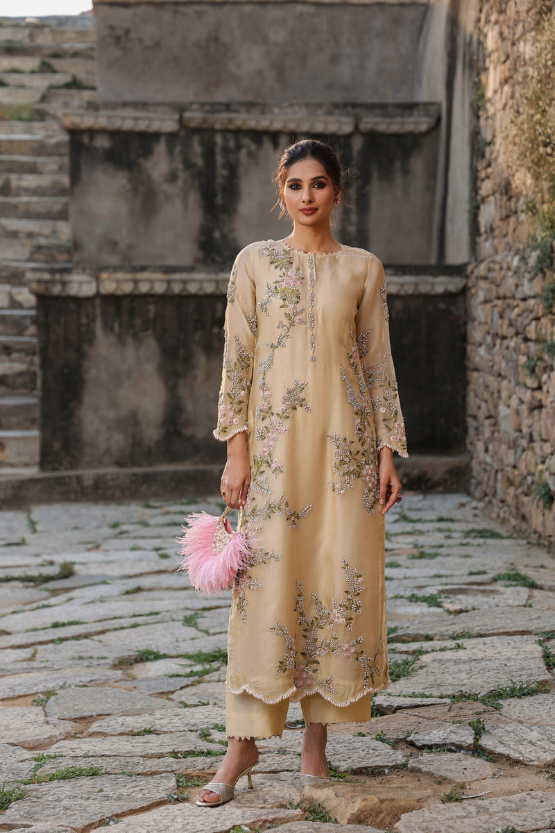 Vaayu Beige Multicolor Jaal Kurta Set organza , silk tencel kurta/kurta set by Niti Bothra in beige for women Worldwide