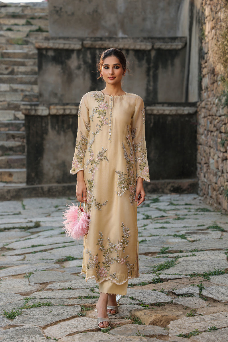 Vaayu Beige Multicolor Jaal Kurta Set organza , silk tencel kurta/kurta set by Niti Bothra in beige for women Worldwide