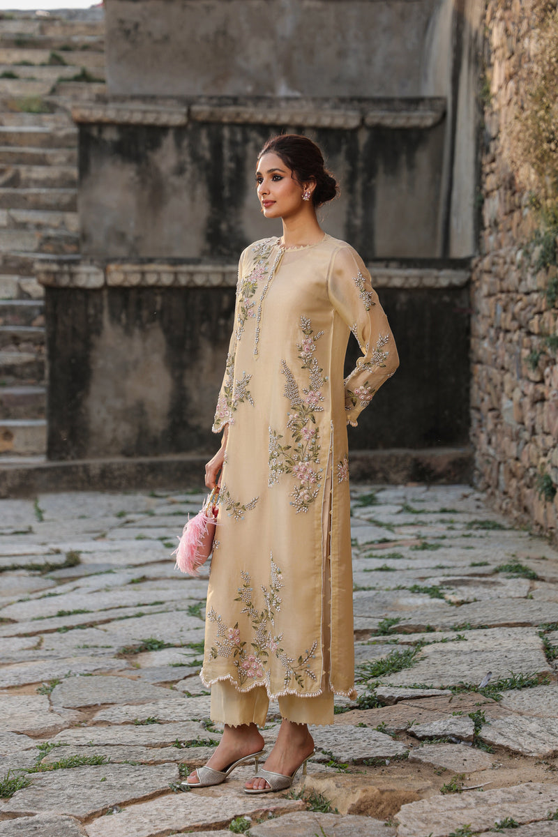Vaayu Beige Multicolor Jaal Kurta Set organza , silk tencel kurta/kurta set by Niti Bothra in beige for women Worldwide