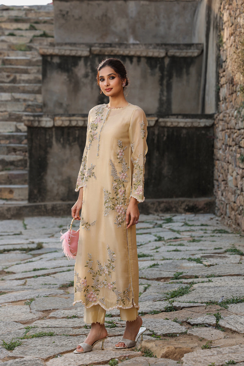 Vaayu Beige Multicolor Jaal Kurta Set organza , silk tencel kurta/kurta set by Niti Bothra in beige for women Worldwide
